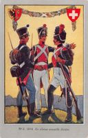 CP Officielle - Centenaire Réunion Genève à la Suisse N° 2