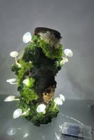 Lampe aus Holz mit Pilze Dekoration