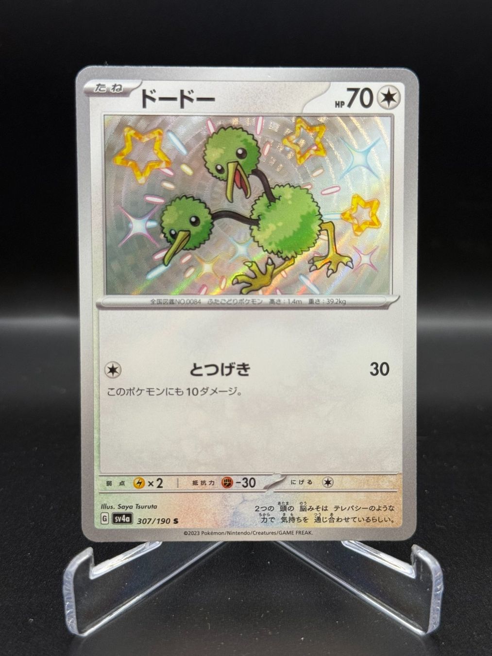 Pokémon Carte collezionabili: Doduo (sv4a 307) - Shiny – Usato da Birmensdorf ZH venduto da SnorlaxMail
