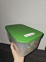 Tupperware KlimaOase 4.4L - Kühlschrank Gemüsebox