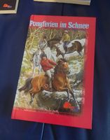Buch Ponyferien im Schnee Gill Morell