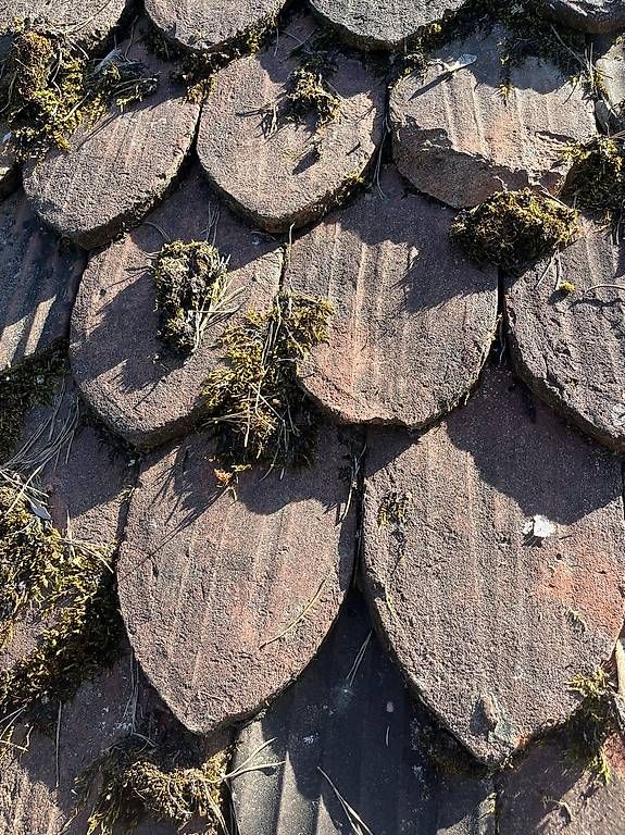 Pietre & tegole: Alte antike Dachziegel – Usato da Binningen venduto da BenjaminStern