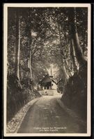 AK Küssnacht, Hohle Gasse mit Tells Kapelle