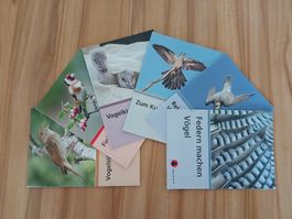 Guide Oiseaux de Suisse - Tout savoir sur les oiseaux!