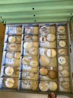 Sortiment optische Linsen geschliffen in Schublade gebraucht