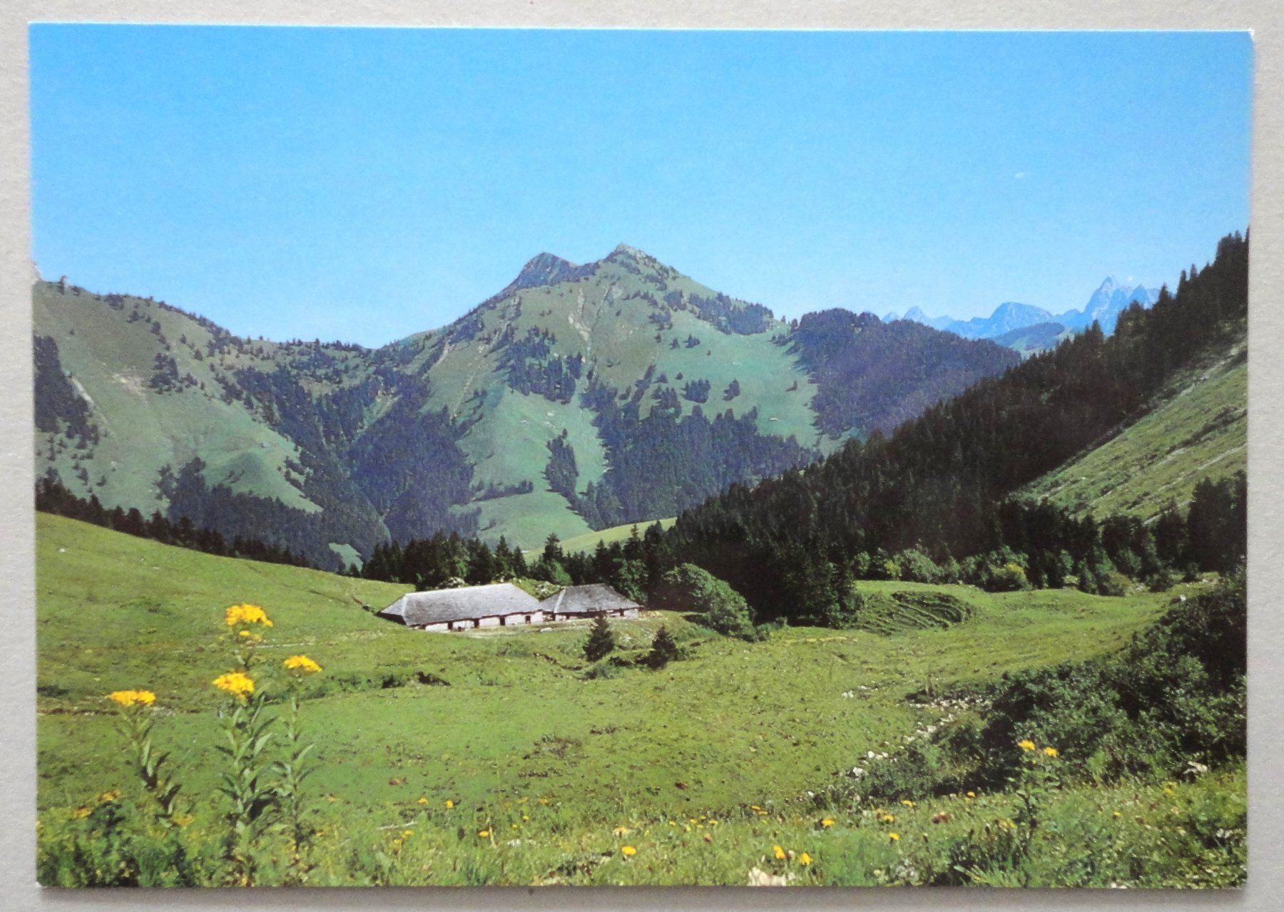Cartoline postali: L' Alpe de Chaude – Usato da Fétigny venduto da Billy2miny