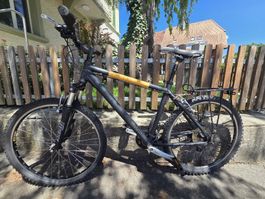 Sommertaugliches Mountainbike, guter Zustand, super Preis