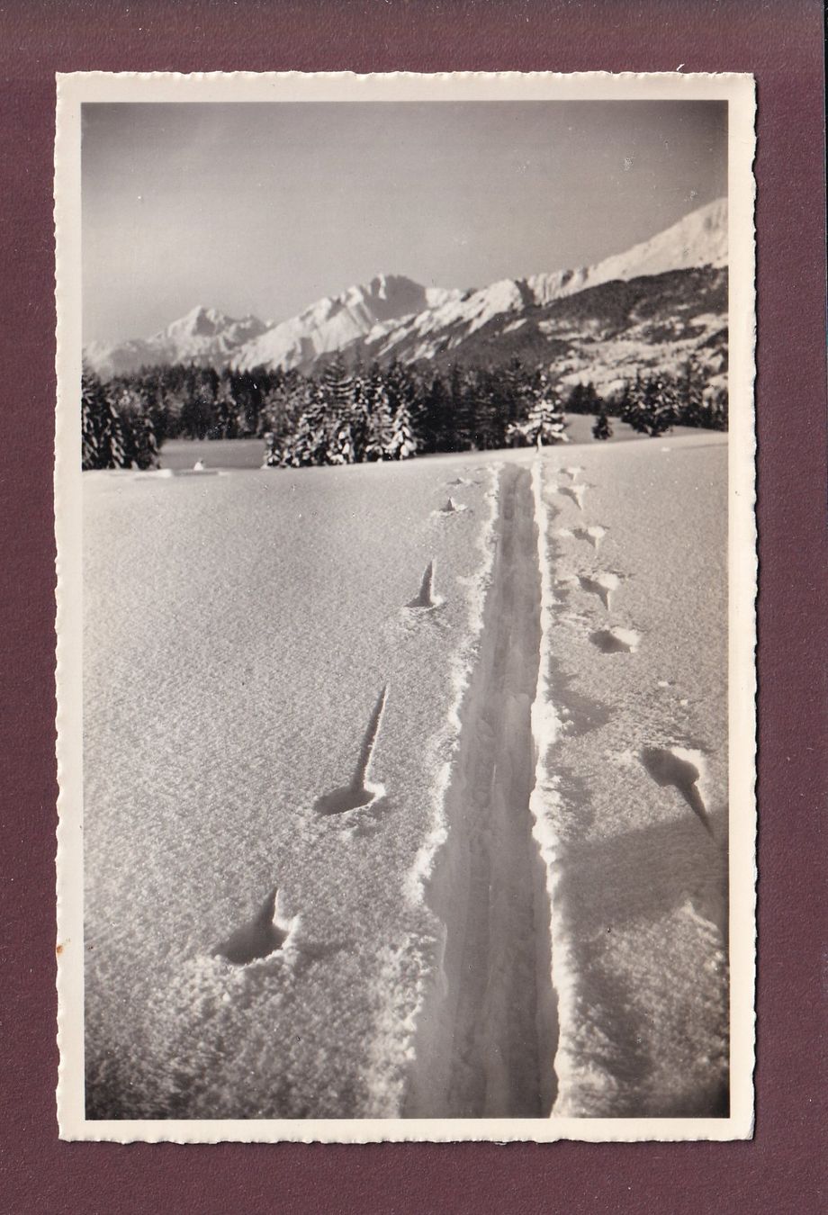 Cartoline postali: CRANS-sur-Sierre - Dent de Fully - Haut de Cry - 1962 – Usato da Pully venduto da nicecards
