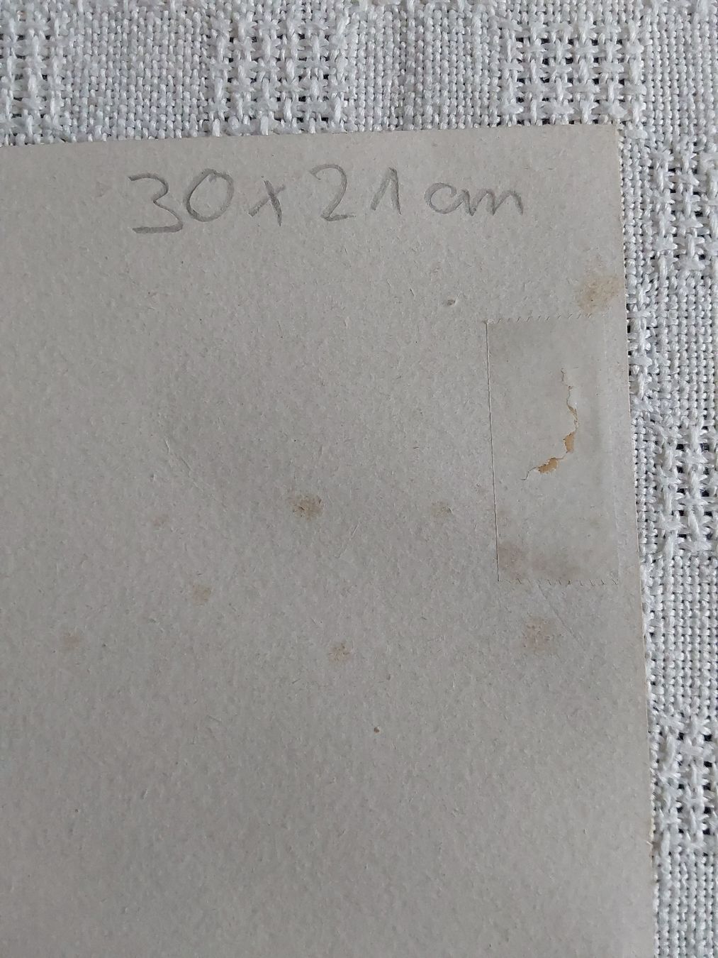 Foto & Immagini: Anna Haller Grafik 21x30cm. – Usato da Steinach venduto da Chilli1957 7