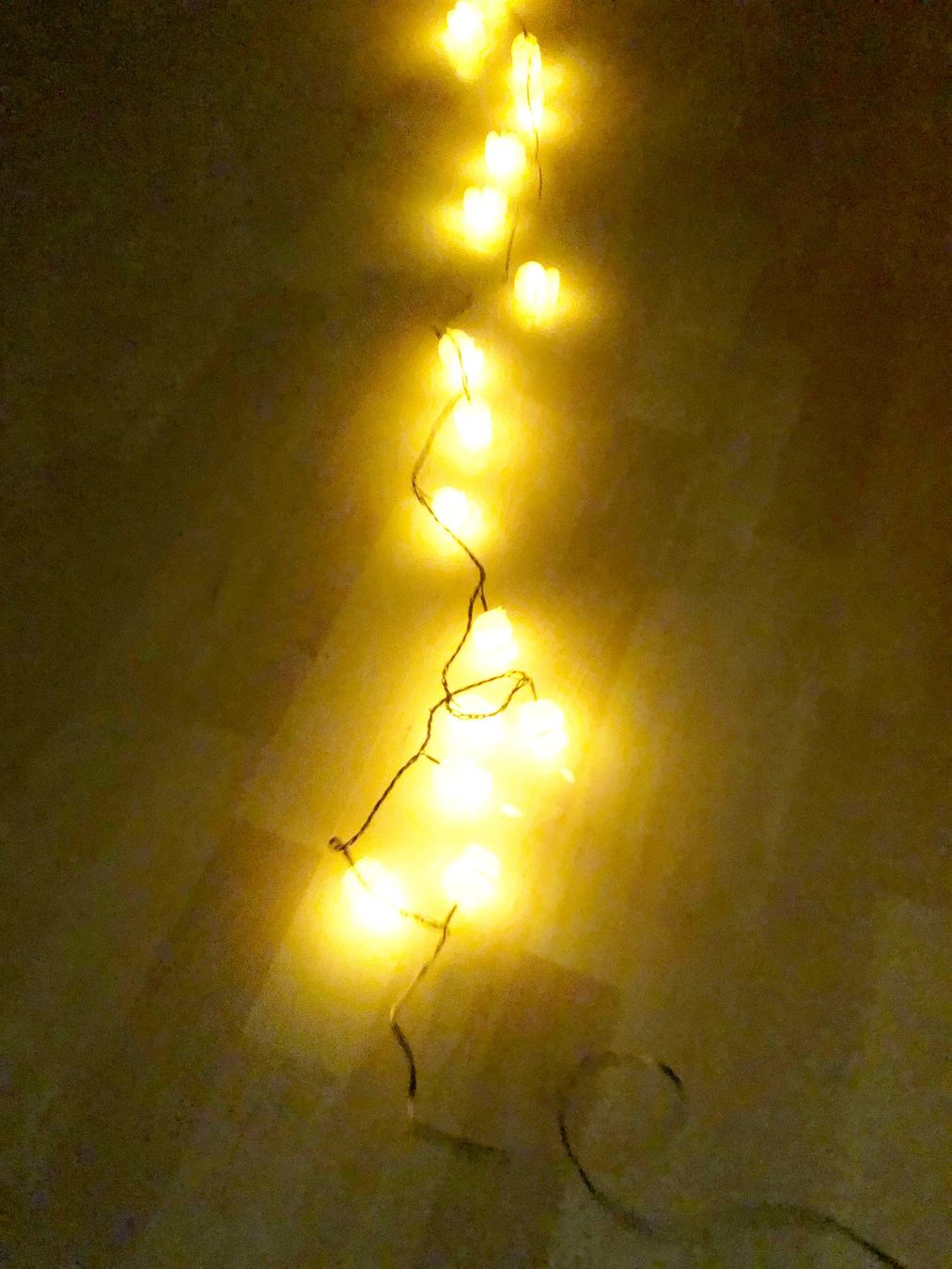 Ghirlande e barre luminose: Lichterkette mit Enten – Nuovo (secondo la descrizione) da Glattbrugg venduto da Ariel012 6
