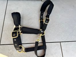 Licol / Reithalfter Back On Track Werano NEW/NEU