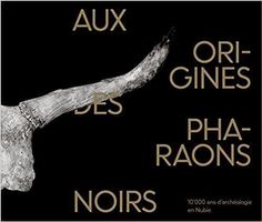 Aux origines des pharaons noirs