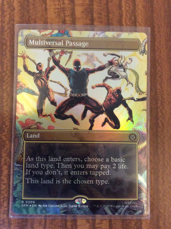 MTG - Multiversal Passage (0206 - Borderless) x1 (Neu (gemäss ...