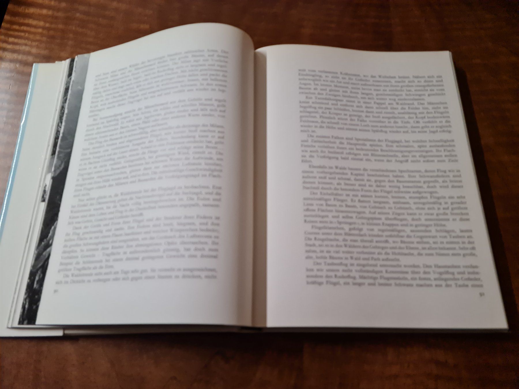 Libri: Vögel im Flug – Usato da Erstfeld venduto da Uhu1980 1