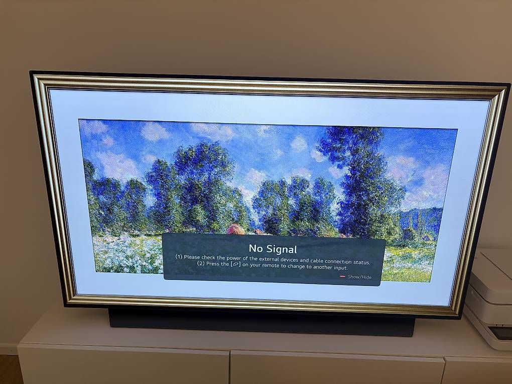 Televisori: LG Oled TV 55 inch  – Usato da Herrliberg venduto da jil_y77h