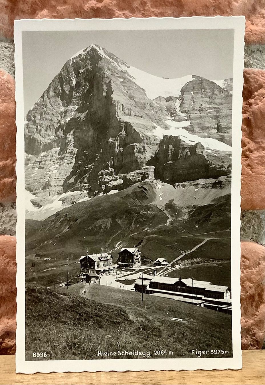 Cartes postales: Alte Foto AK - KLEINE SCHEIDEGG & Eiger – D'occasion à Root par