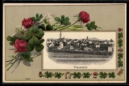 Präge-AK Frauenfeld, Ortsansicht im Pas