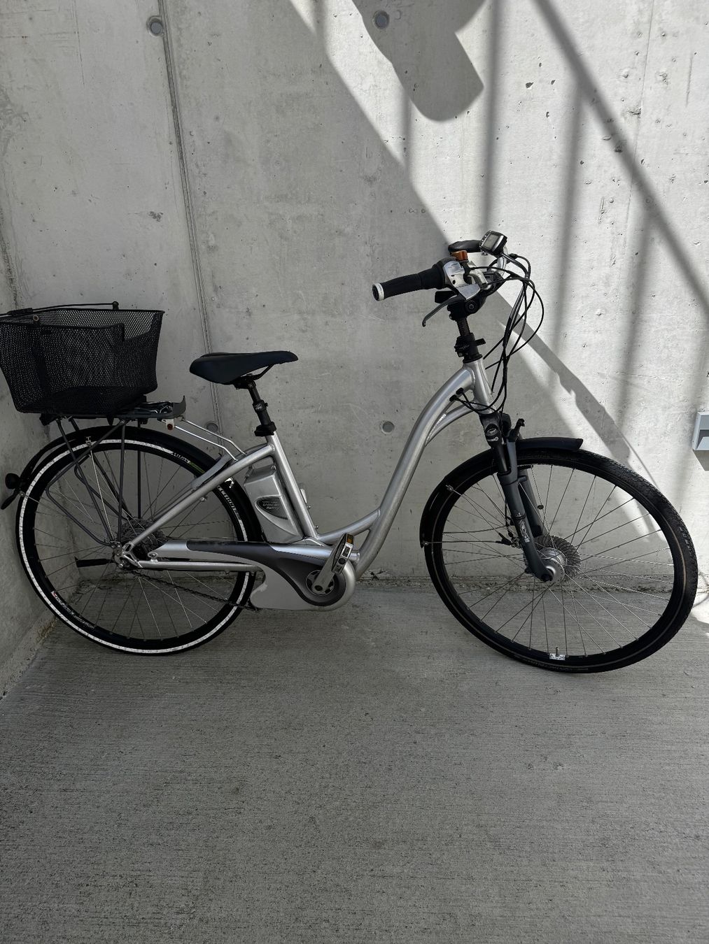 Flyer Biciclette: E-Bike Flyer ab 1chf – Usato da Derendingen venduto da nini.22 1