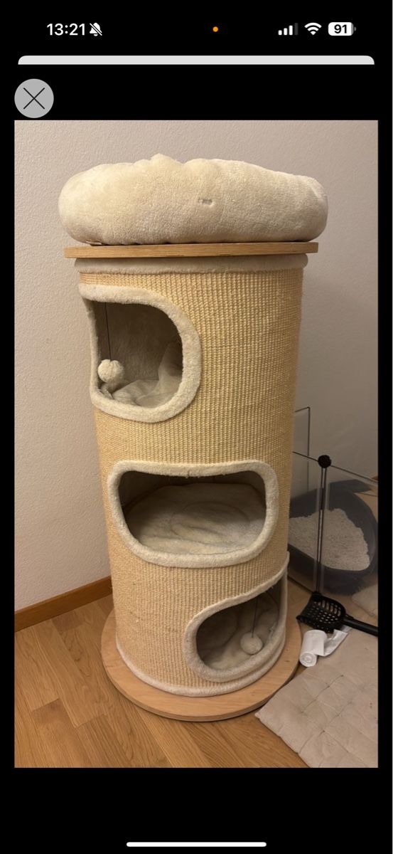 monoprotein trockenfutter katze Trockenfutter - Kitten - Lachs