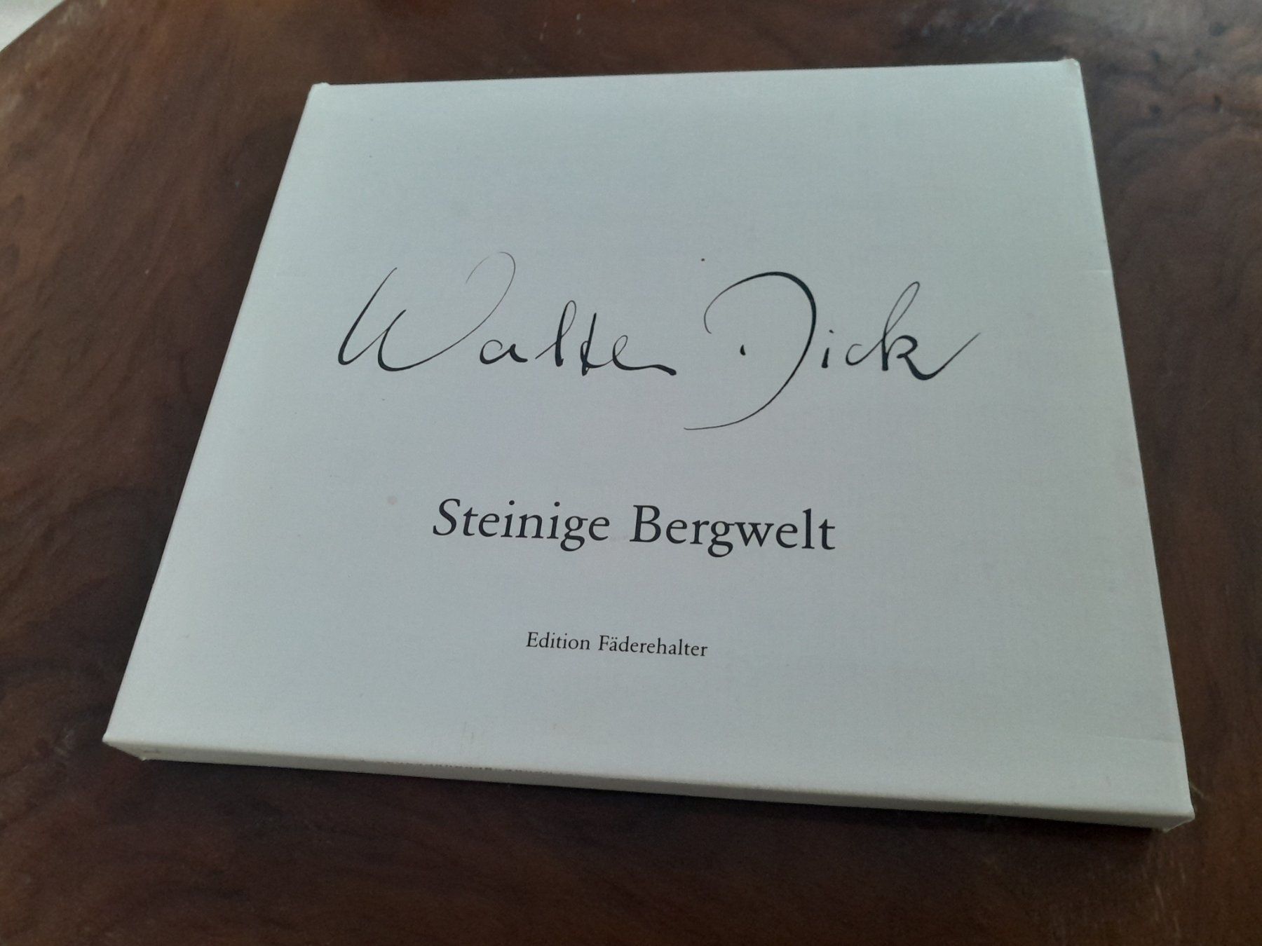 Libri: Walter Dick Steinige Bergwelten – Usato da Semione venduto da samodiva80 3