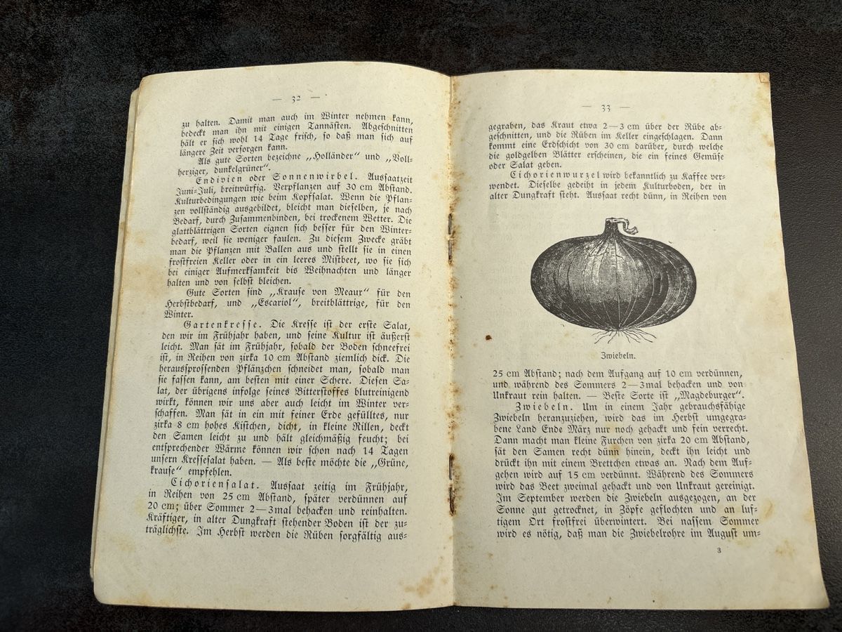 Libri: Unser Gemüsegarten  – Usato da Schlierbach venduto da Stee09 4