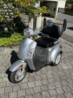 SPC Elektromobil Triolo - neuwertig