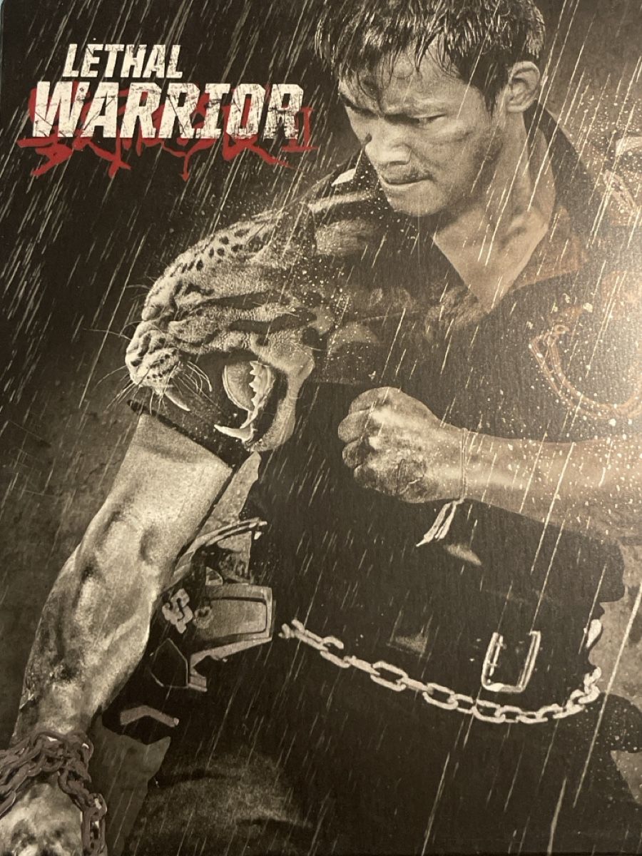 Tutti i DVDs: Lethal Warrior (2015)  Steelbook – Usato da Waldenburg venduto da Gonzo8