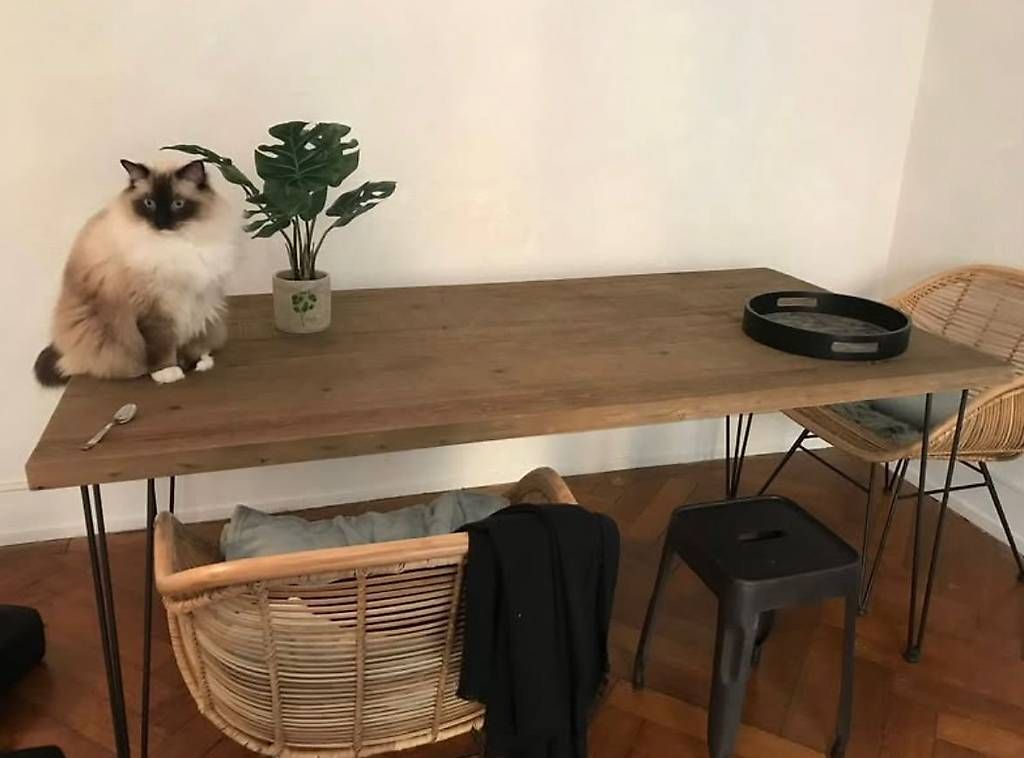 Tische: Table à manger style indus, plateau en pin recyclé – Gebraucht aus Lausanne von donegal333