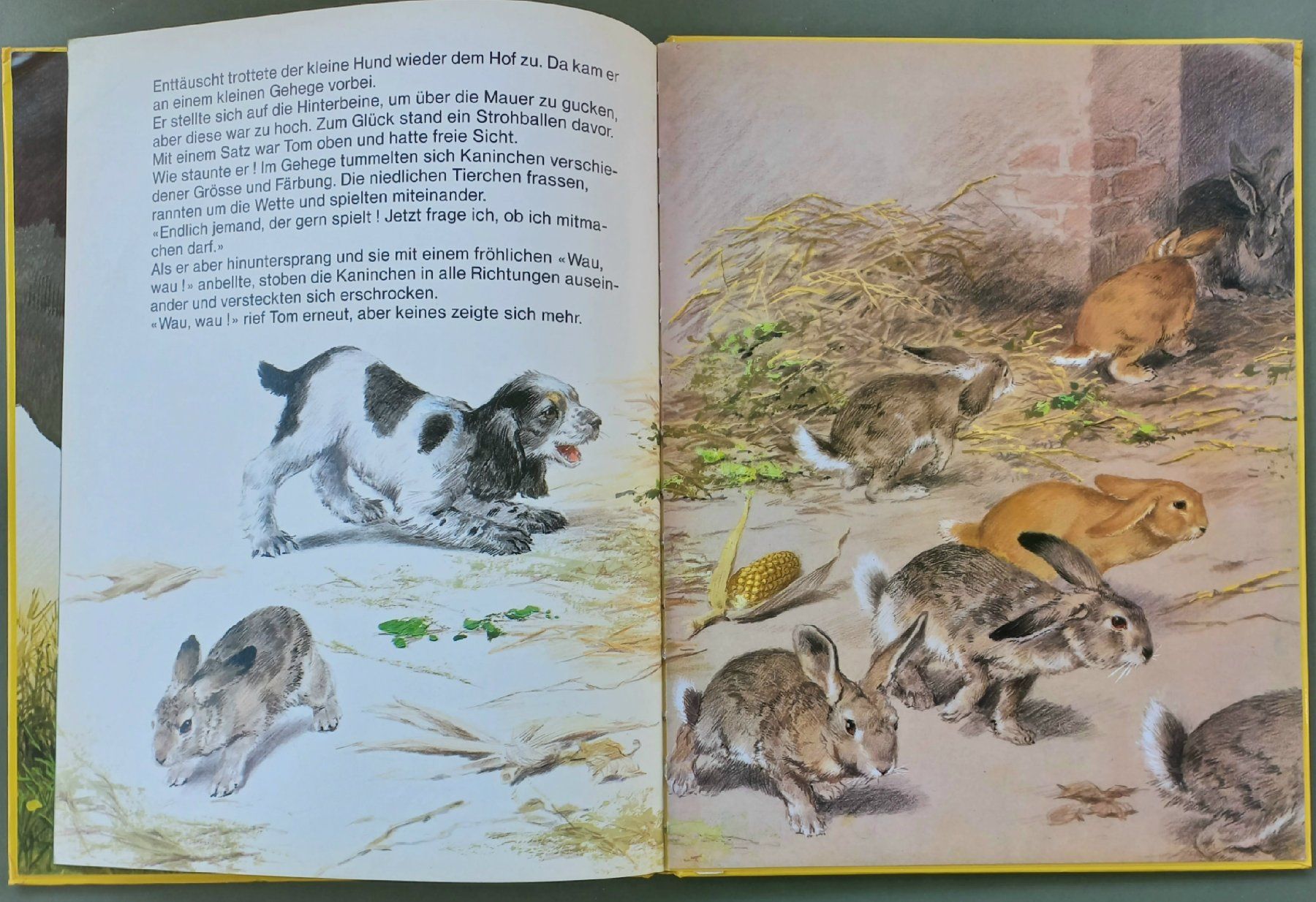 Libri: Kinderbuch - Tom, das herrenlose Hündchen – Usato da Niederuzwil venduto da lubimaja 3