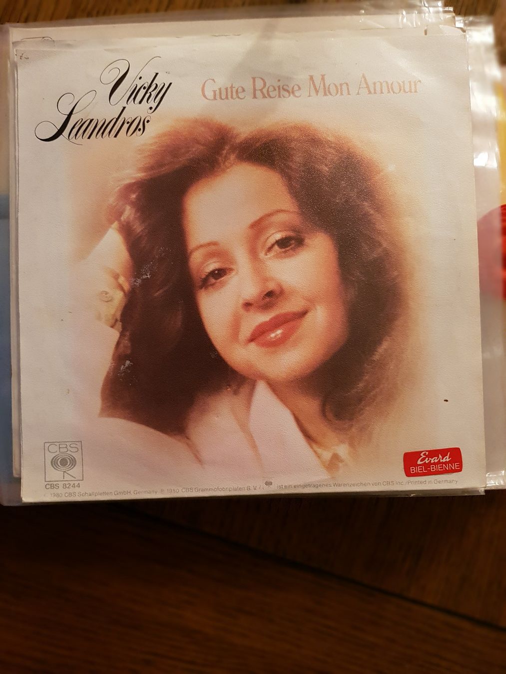 Dischi in vinile: Schallplatten 18 Singles in einem Album eingeordnet – Usato da Pieterlen venduto da Dyui 5
