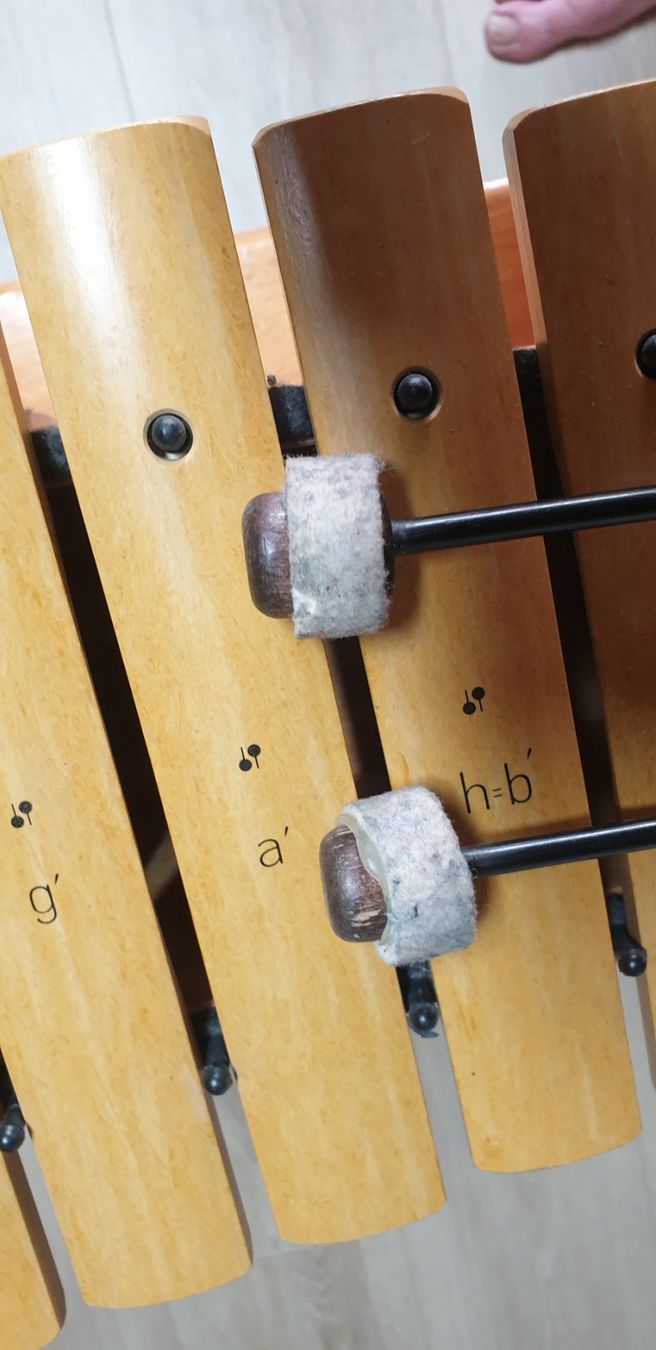 Strumenti musicali: Xylophon Sonor – Usato da Hünenberg venduto da Gelini9 6