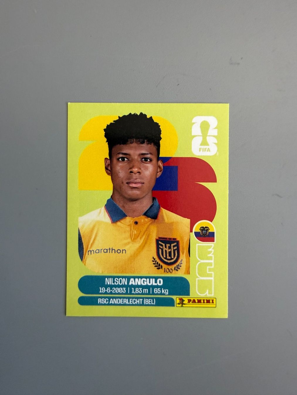 Panini Sammelbilder & Trading cards: Panini Nilson Angulo ECU17 – Gebraucht aus Liebefeld von Ronaldo-1996