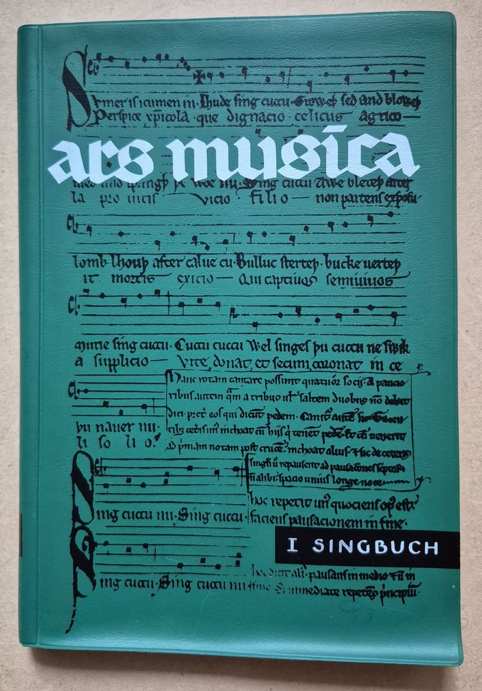 Libri: Sing Buch / Lieder Buch – Usato da Adliswil venduto da cha_fq9f