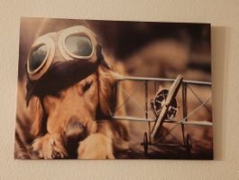 Pilot Hund mit Propellerflugzeug LEDBild