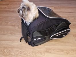 Sacoche de réservoir moto pour chien PUPPY 30L (Max 8kg)