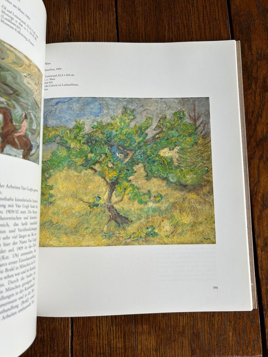 Libri: Vincent van Gogh und die Moderne – Usato da Basel venduto da Chamisso 7