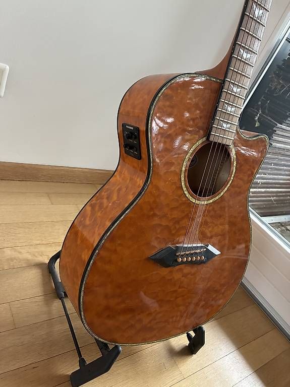 Schecter Musikinstrumente: Gitarre – Gebraucht aus Altdorf UR von just_bombi 2