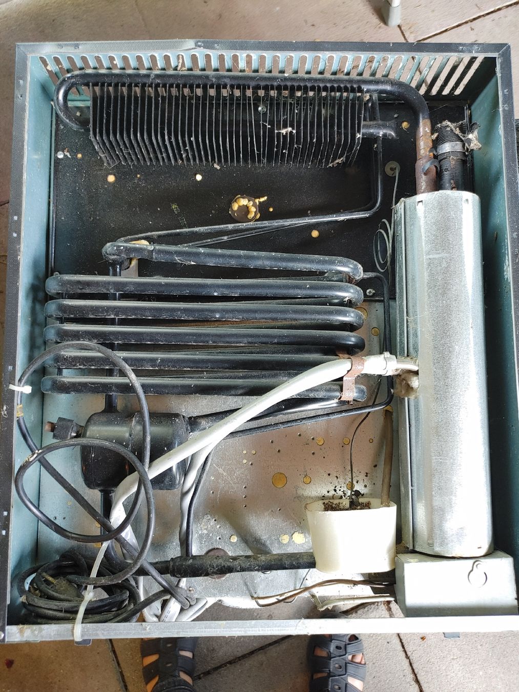 Frigoriferi: Kühlschrank Electrolux Gas/ 220V /12 Volt – Usato da REGENSDORF venduto da velio 1