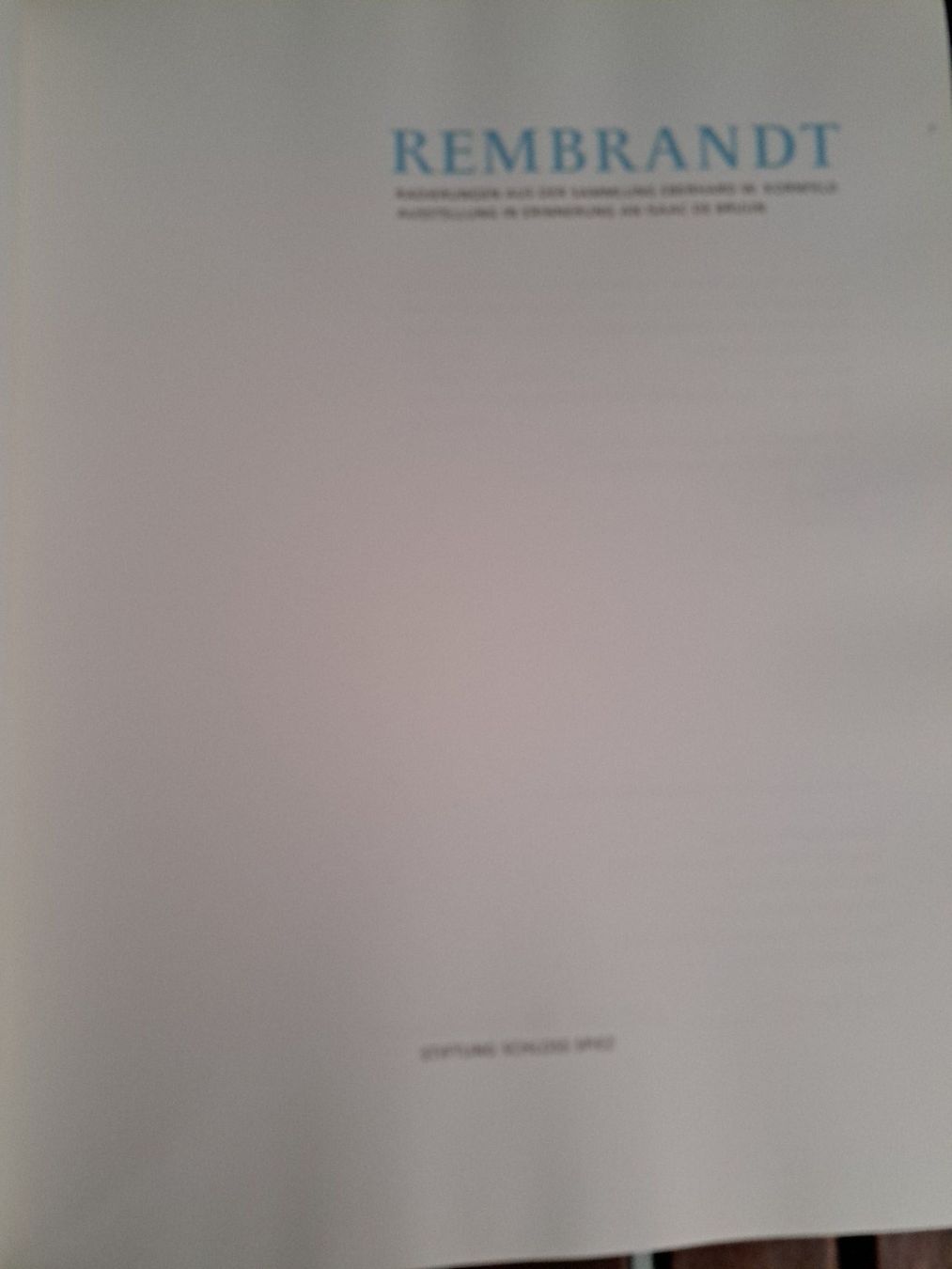 Libri: Kunstbuch - Rembrandt - Radierungen – Usato da Schliern b. Köniz venduto da Potpourri 2