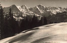Jungfrau Region BE Alpenpanorama Schnee Eiger Monch