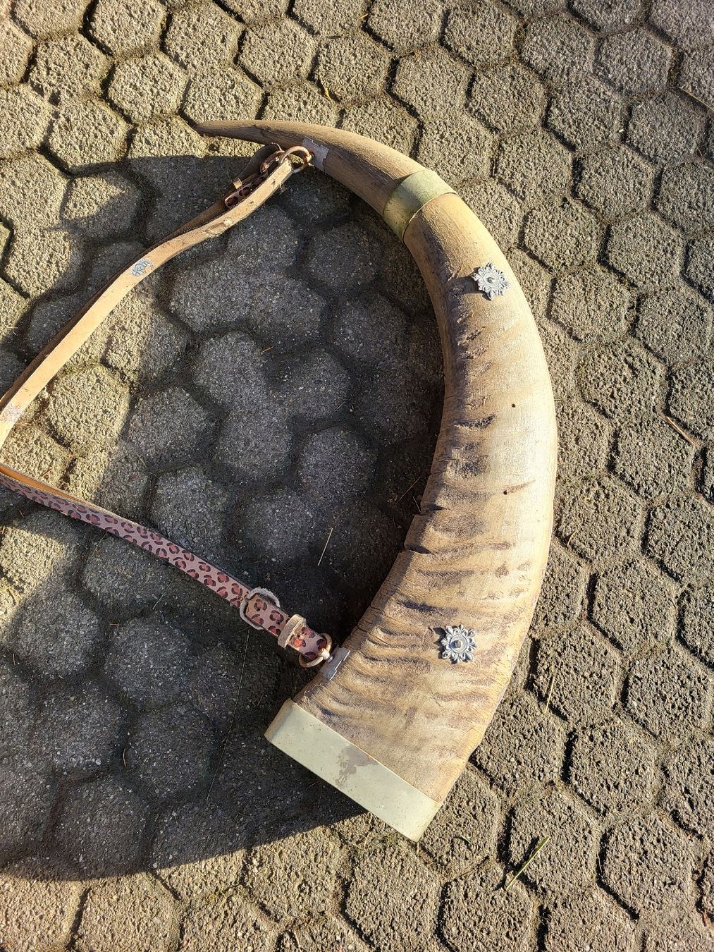 Tutte le decorazioni: Trinkhorn: Büffel oder Rind – Usato da Schönenberg ZH venduto da Samichlaus71 2