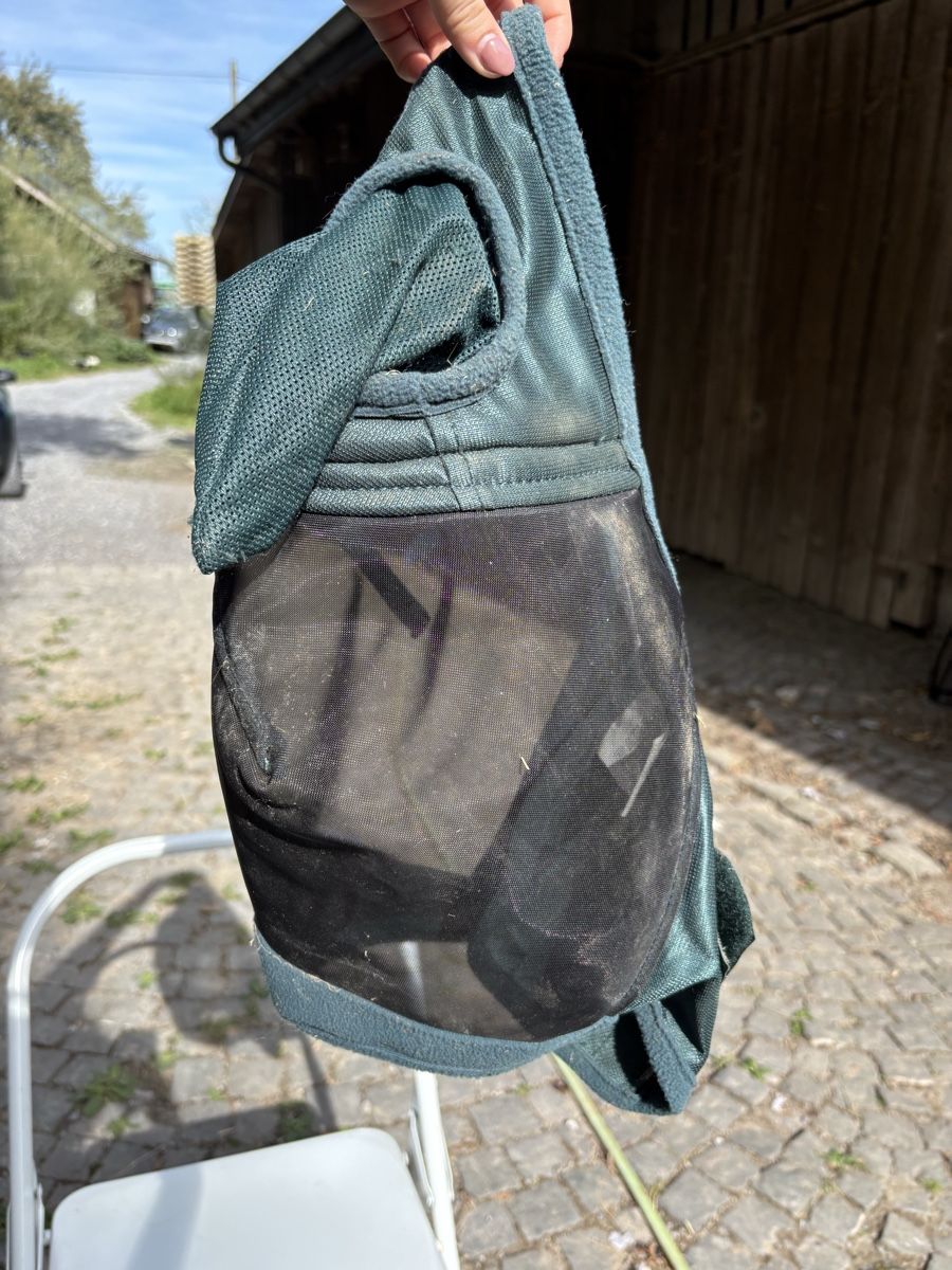 Zaumzeug & Halfter: Fliegenmaske – Gebraucht aus St. Gallen von may_8fbd 3