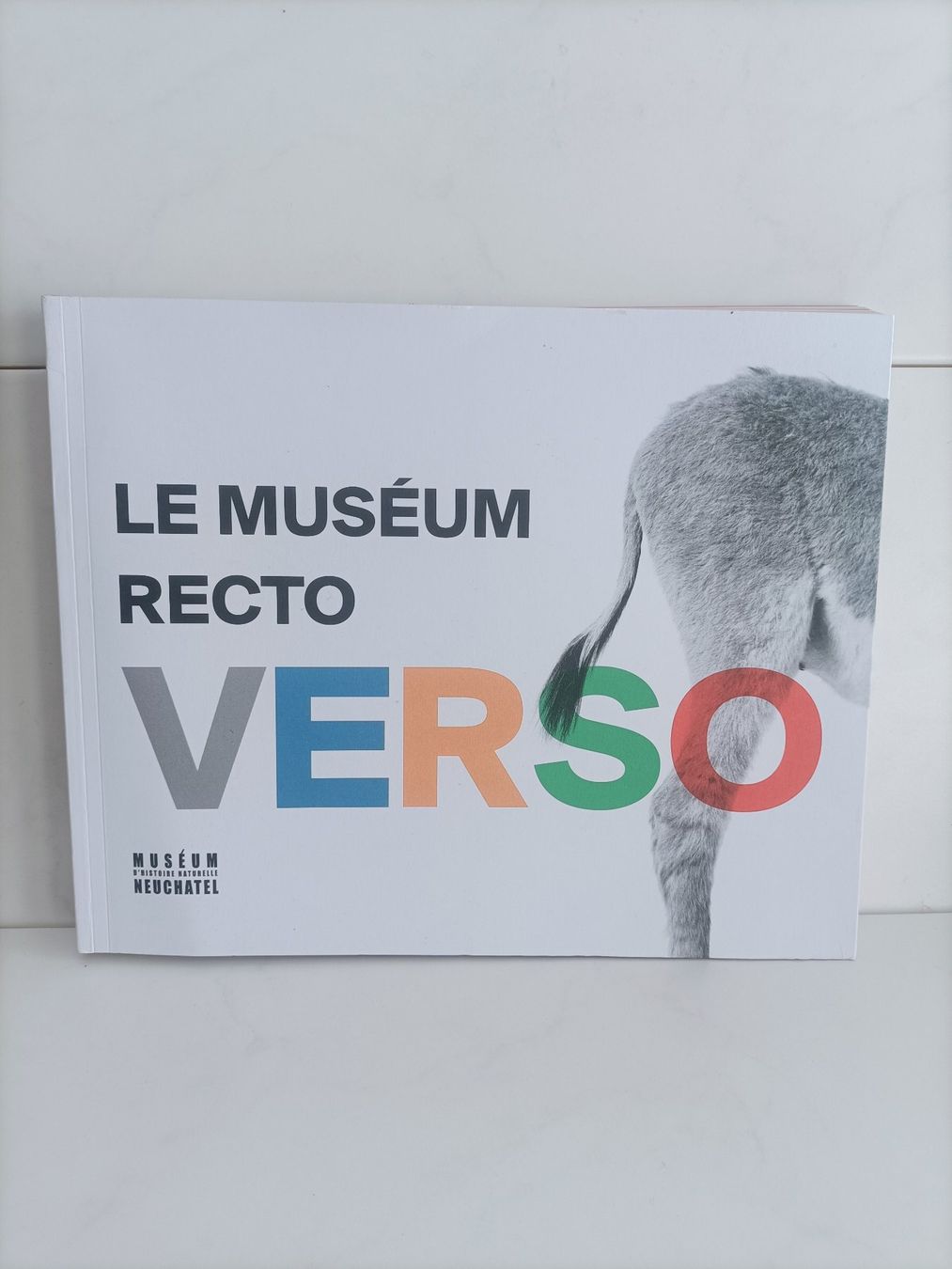 Bücher: Le muséum Recto Verso Muséum d'histoire naturelle Neuchâtel – Gebraucht aus crans montana von AB3963