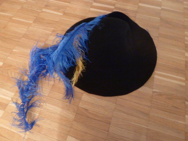 Costumi: Fasnachts-Sujet – Usato da Luzern venduto da luga01 7