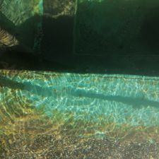 Profile image of Fisch1129