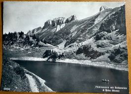 FÄLHENSEE - BOLLENWIES 1959
