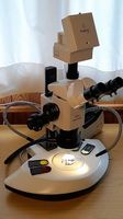 Stereomikroskop Wild M10 Rarität