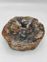 Vide poche, cendrier bois fossilisé