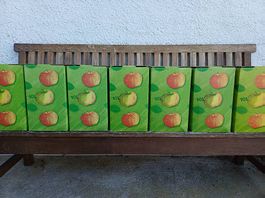 Apfelsaft/Most Bio