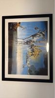 Salvador Dali: Die Versuchung des heiligen Antonius gerahmt